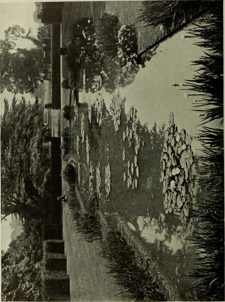 An illustration from International studio, 1897, leaf 297