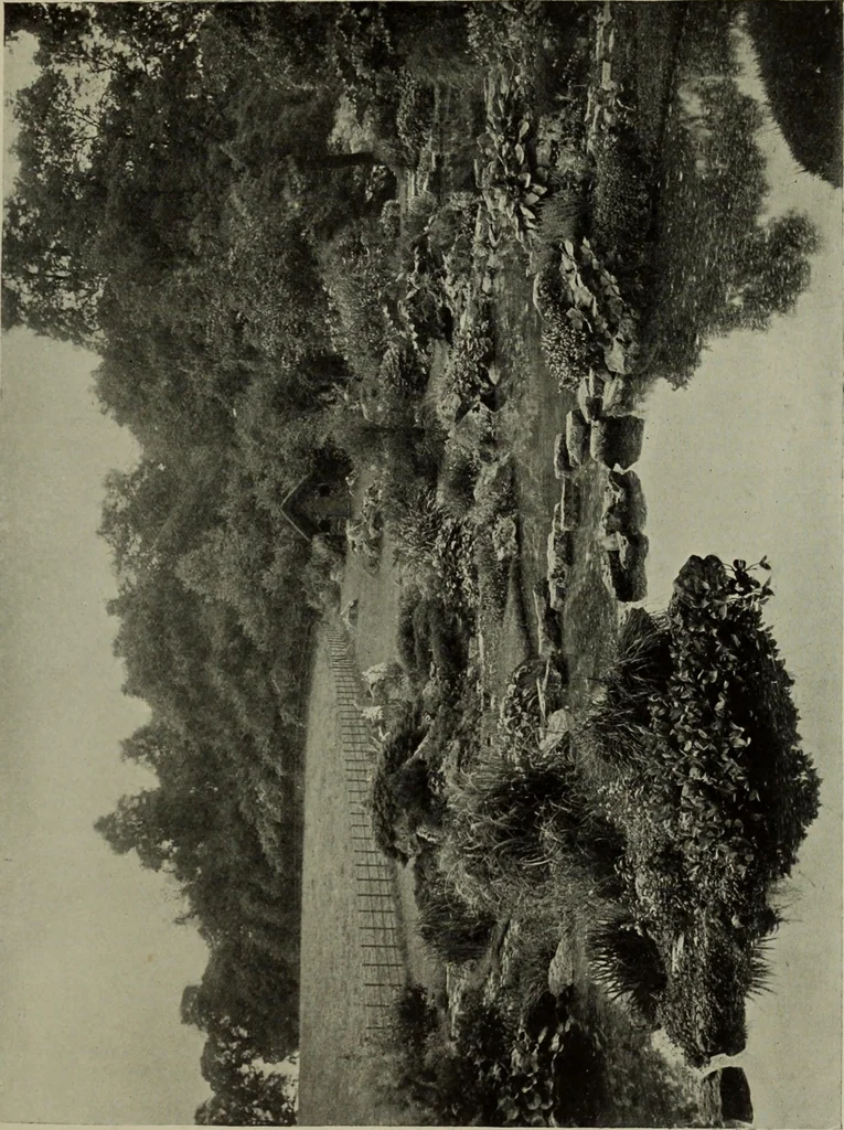 An illustration from International studio, 1897, leaf 298