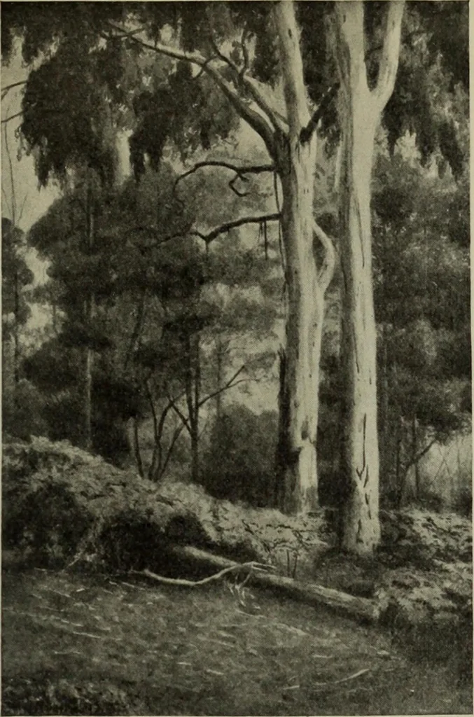 An illustration from International studio, 1897, leaf 338