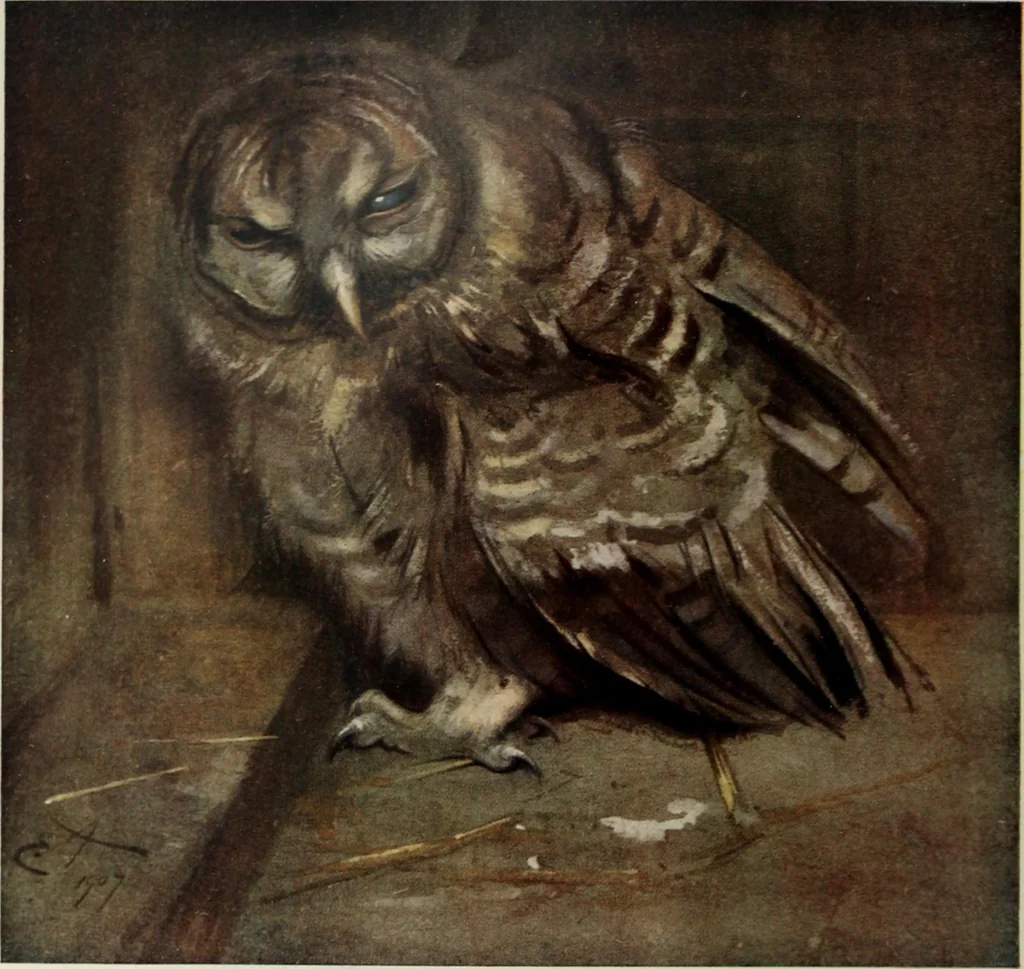 An illustration from International studio, 1897, leaf 35