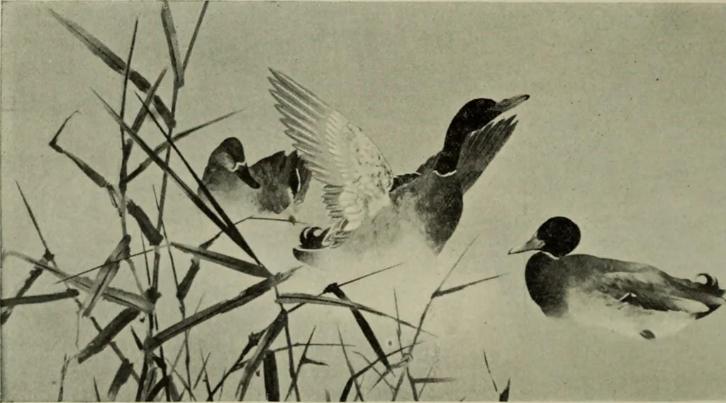 An illustration from International studio, 1897, leaf 359