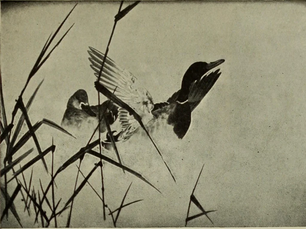 An illustration from International studio, 1897, leaf 362