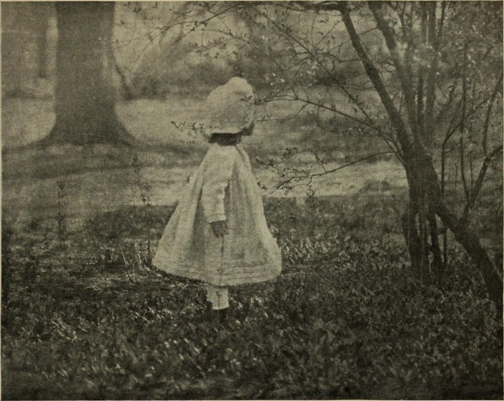 An illustration from International studio, 1897, leaf 38