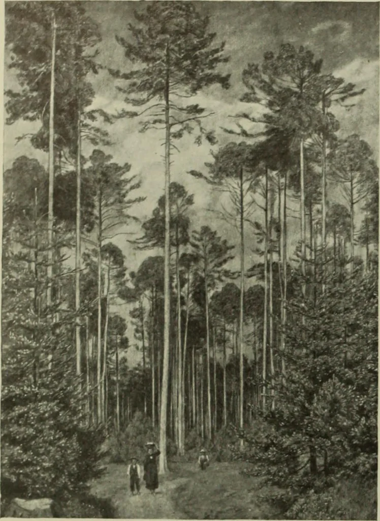 An illustration from International studio, 1897, leaf 409