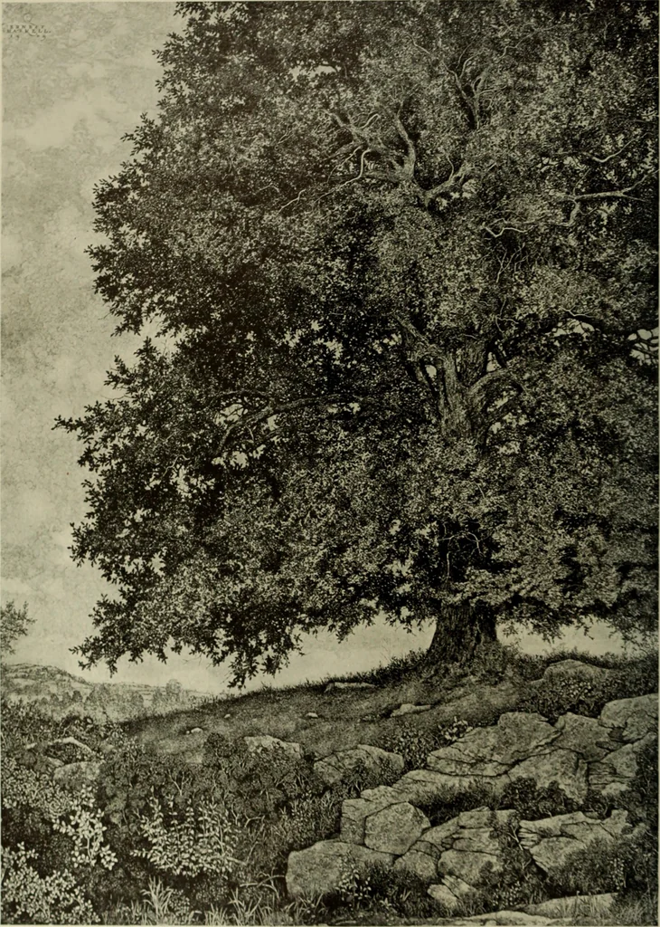 An illustration from International studio, 1897, leaf 49