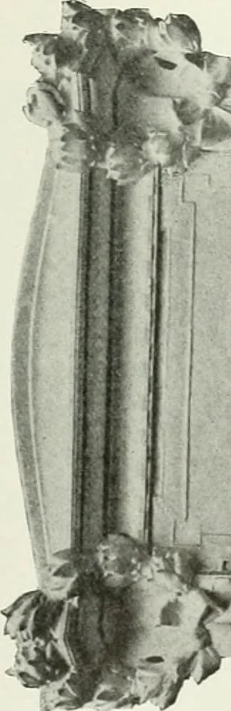 An illustration from International studio, 1897, leaf 156