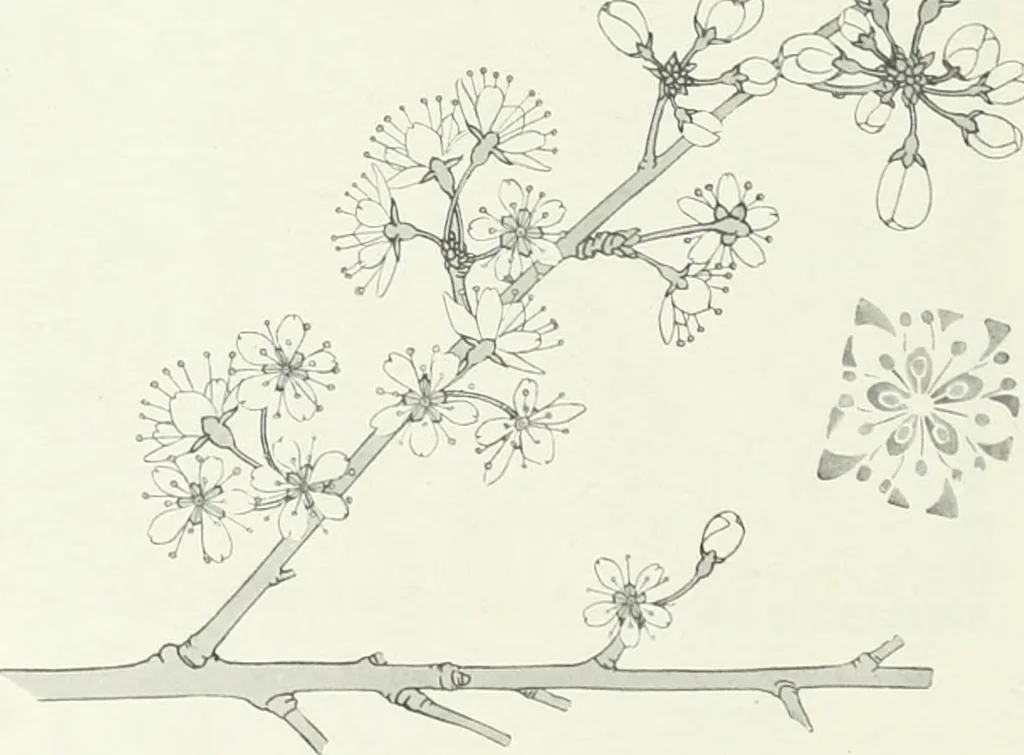 An illustration from International studio, 1897, leaf 243