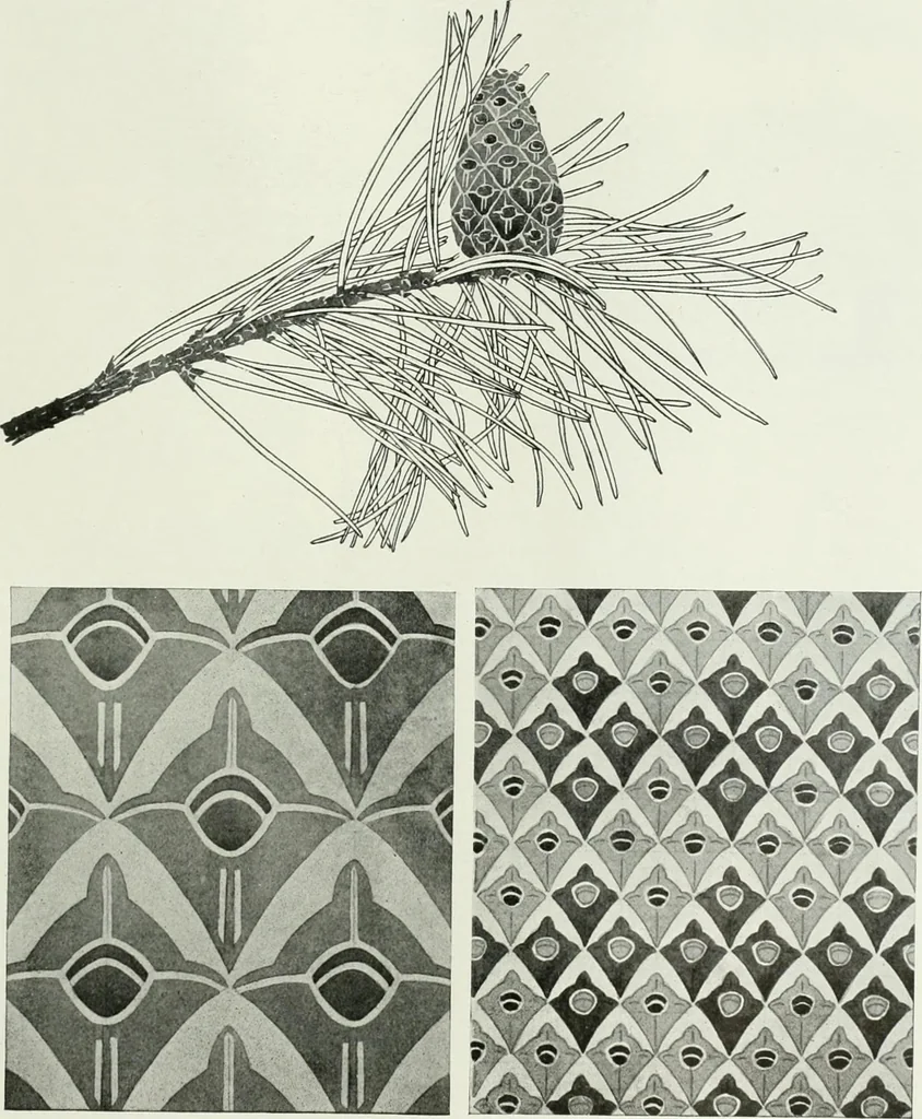 An illustration from International studio, 1897, leaf 246