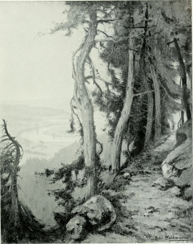 An illustration from International studio, 1897, leaf 268