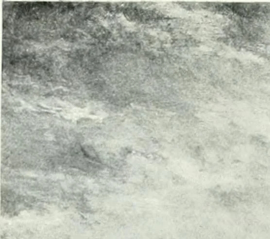 An illustration from International studio, 1897, leaf 290