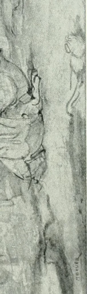 An illustration from International studio, 1897, leaf 307