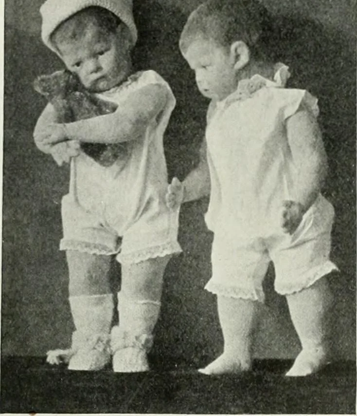 An illustration from International studio, 1897, leaf 344