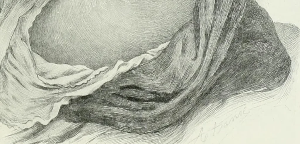 An illustration from International studio, 1897, leaf 354