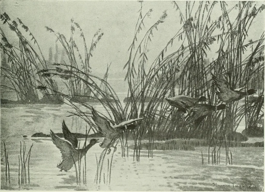 An illustration from International studio, 1897, leaf 172