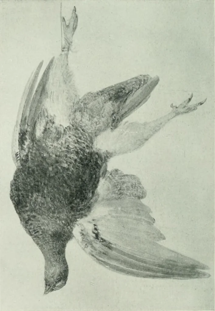 An illustration from International studio, 1897, leaf 207