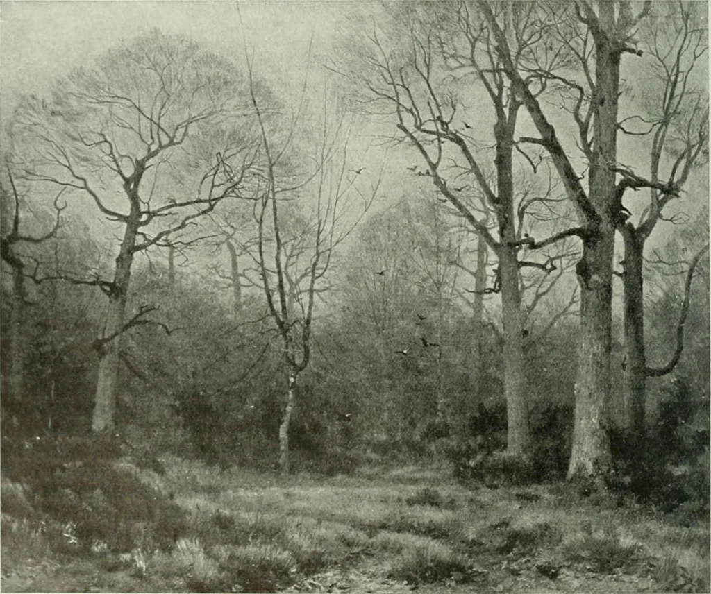 An illustration from International studio, 1897, leaf 227