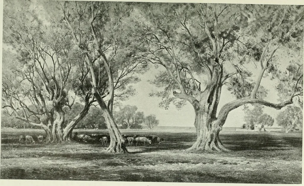 An illustration from International studio, 1897, leaf 228