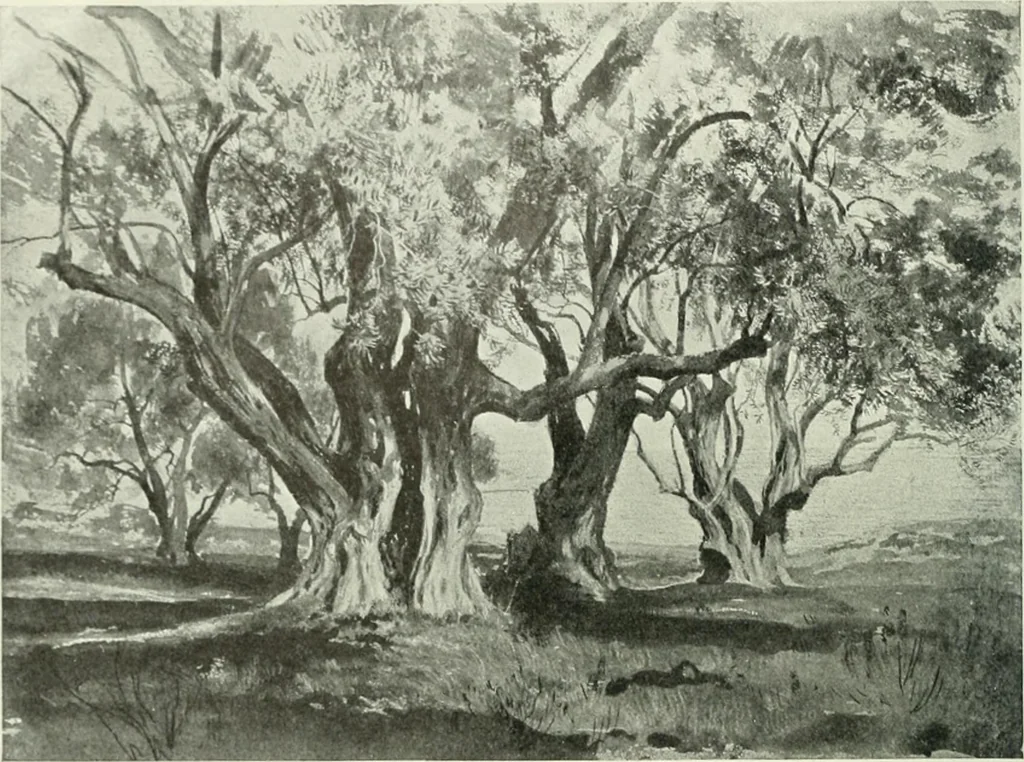 An illustration from International studio, 1897, leaf 229