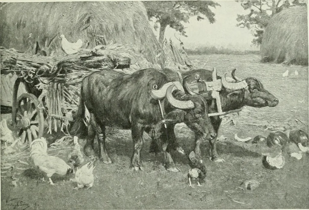 An illustration from International studio, 1897, leaf 242
