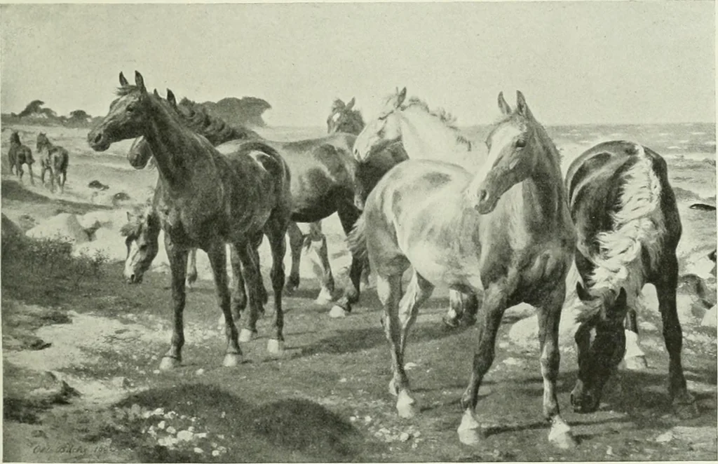 An illustration from International studio, 1897, leaf 264
