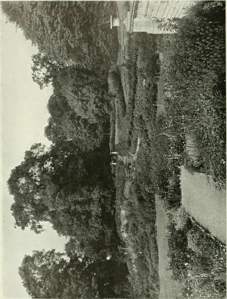 An illustration from International studio, 1897, leaf 307