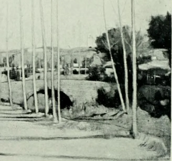 An illustration from International studio, 1897, leaf 373