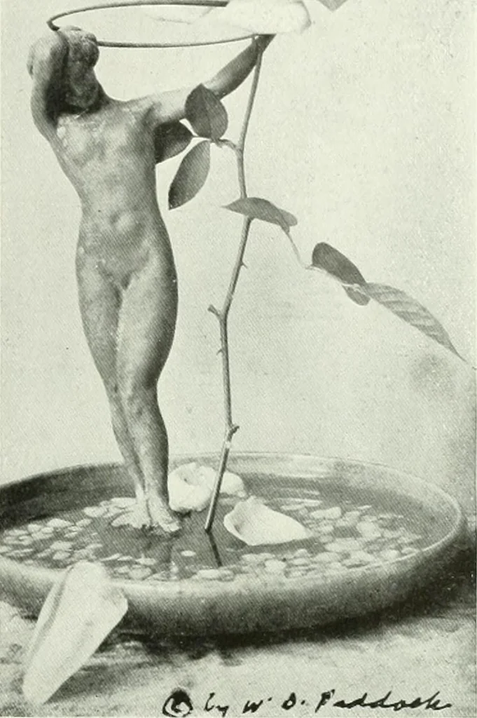 An illustration from International studio, 1897, leaf 78