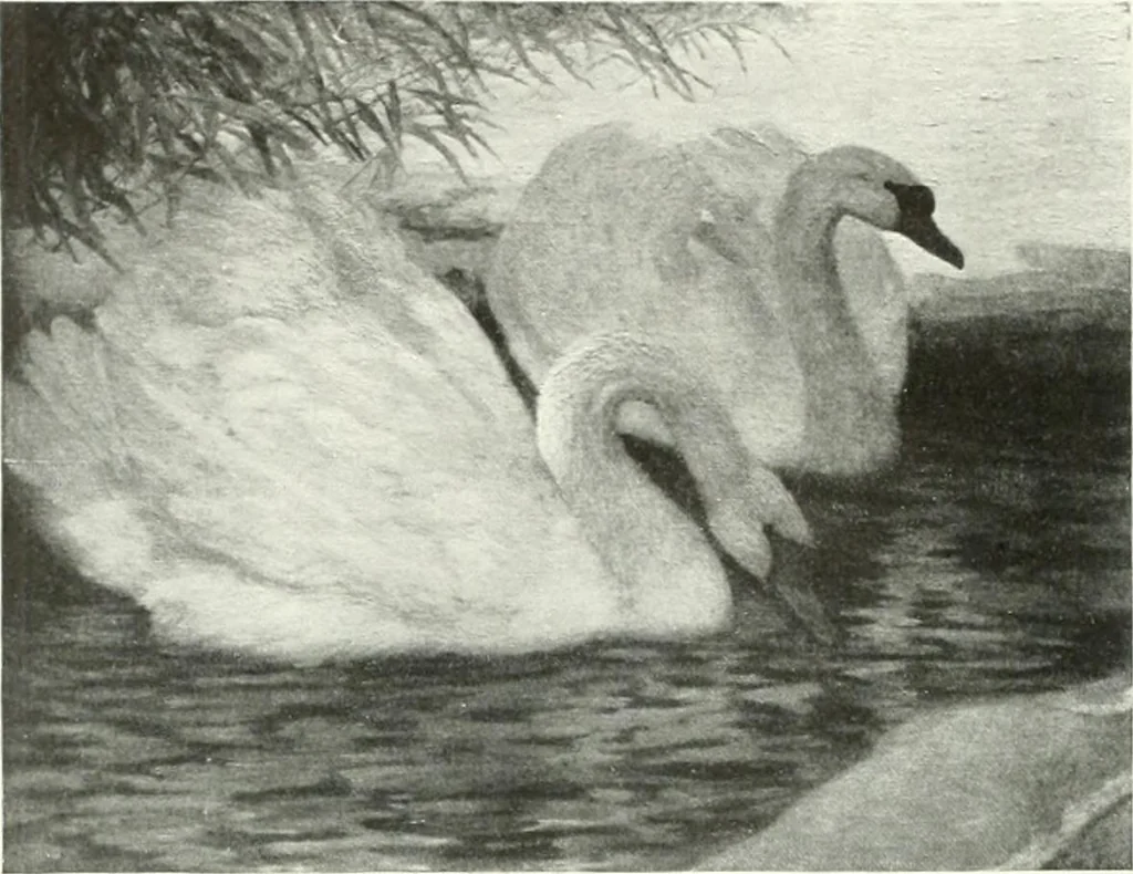 An illustration from International studio, 1897, leaf 113