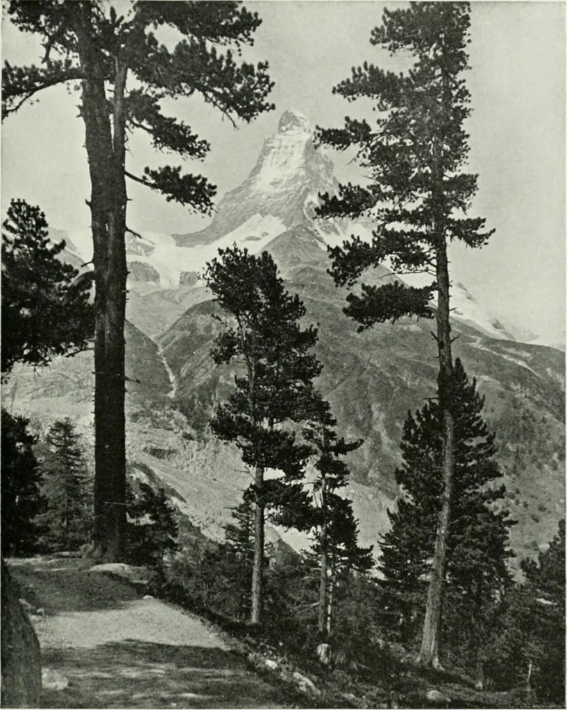 An illustration from International studio, 1897, leaf 266