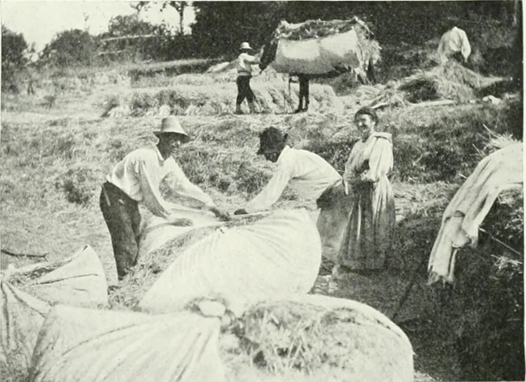 An illustration from International studio, 1897, leaf 295