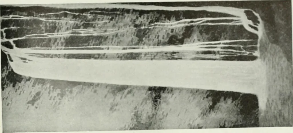 An illustration from International studio, 1897, leaf 400