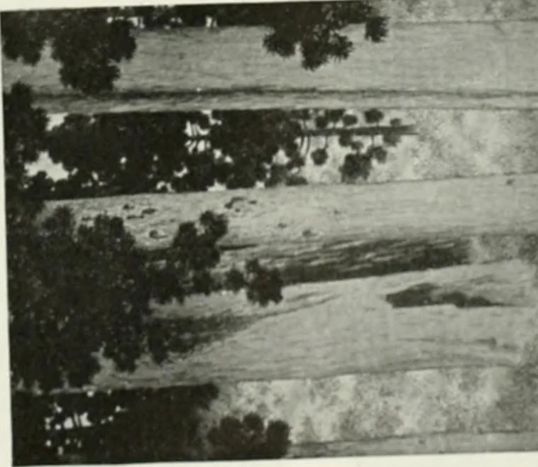 An illustration from International studio, 1897, leaf 400