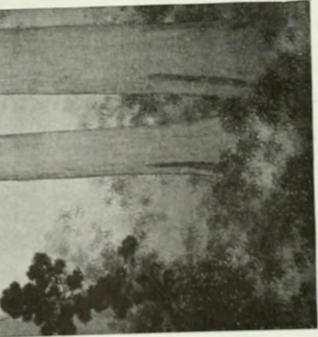 An illustration from International studio, 1897, leaf 400