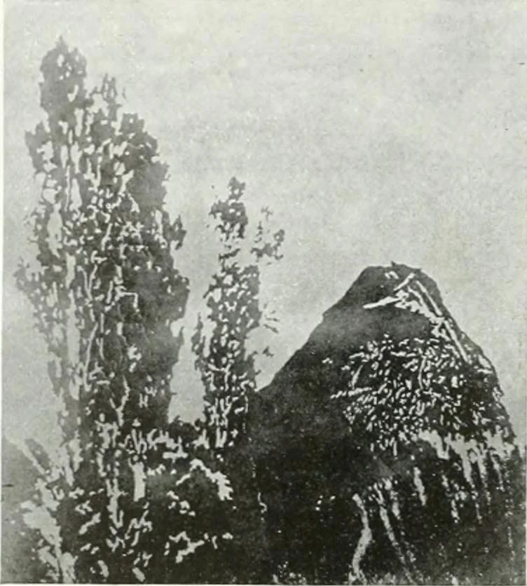 An illustration from International studio, 1897, leaf 61