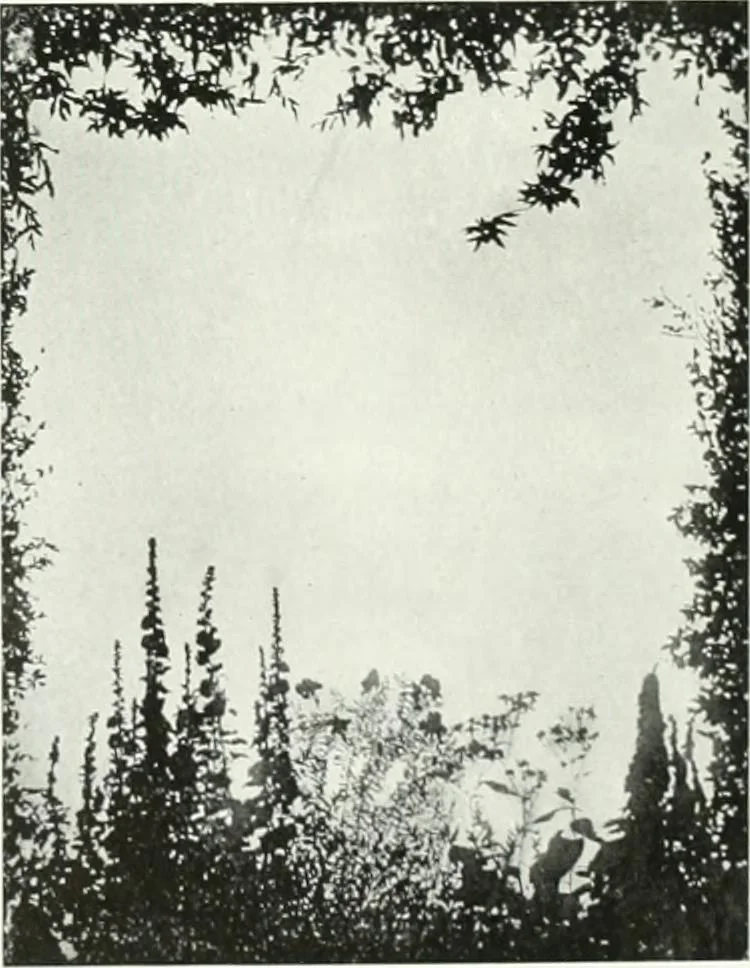 An illustration from International studio, 1897, leaf 61