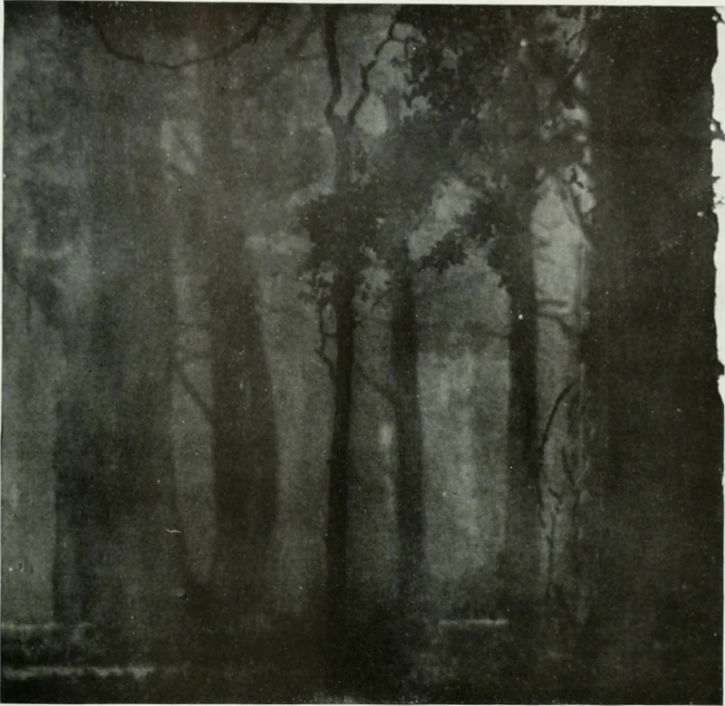 An illustration from International studio, 1897, leaf 62