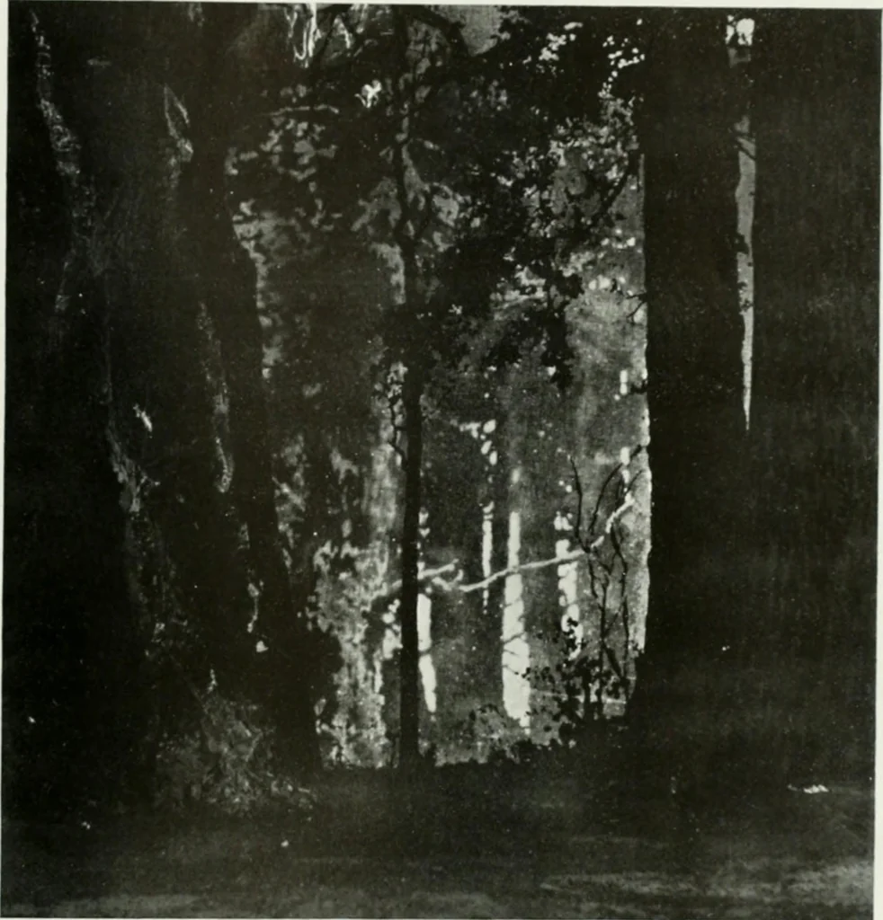 An illustration from International studio, 1897, leaf 64