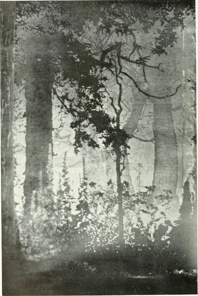 An illustration from International studio, 1897, leaf 65