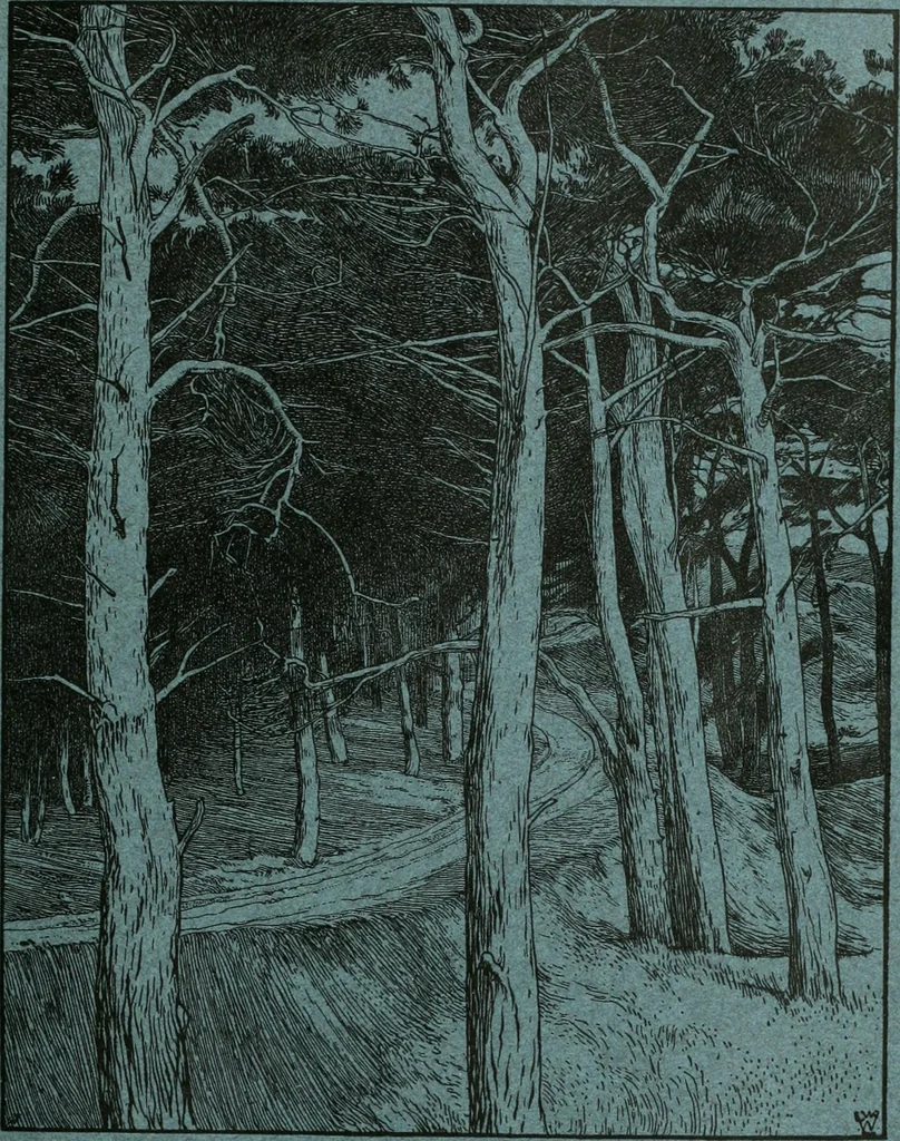 An illustration from International studio, 1897, leaf 198