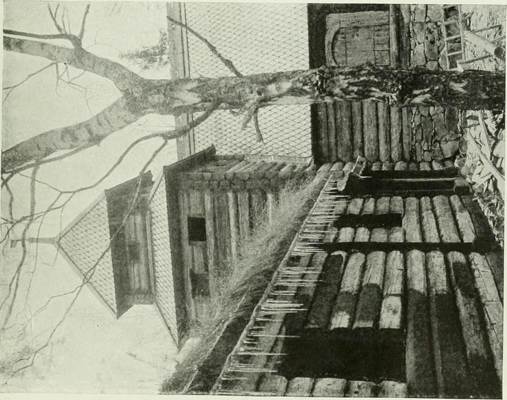 An illustration from International studio, 1897, leaf 228