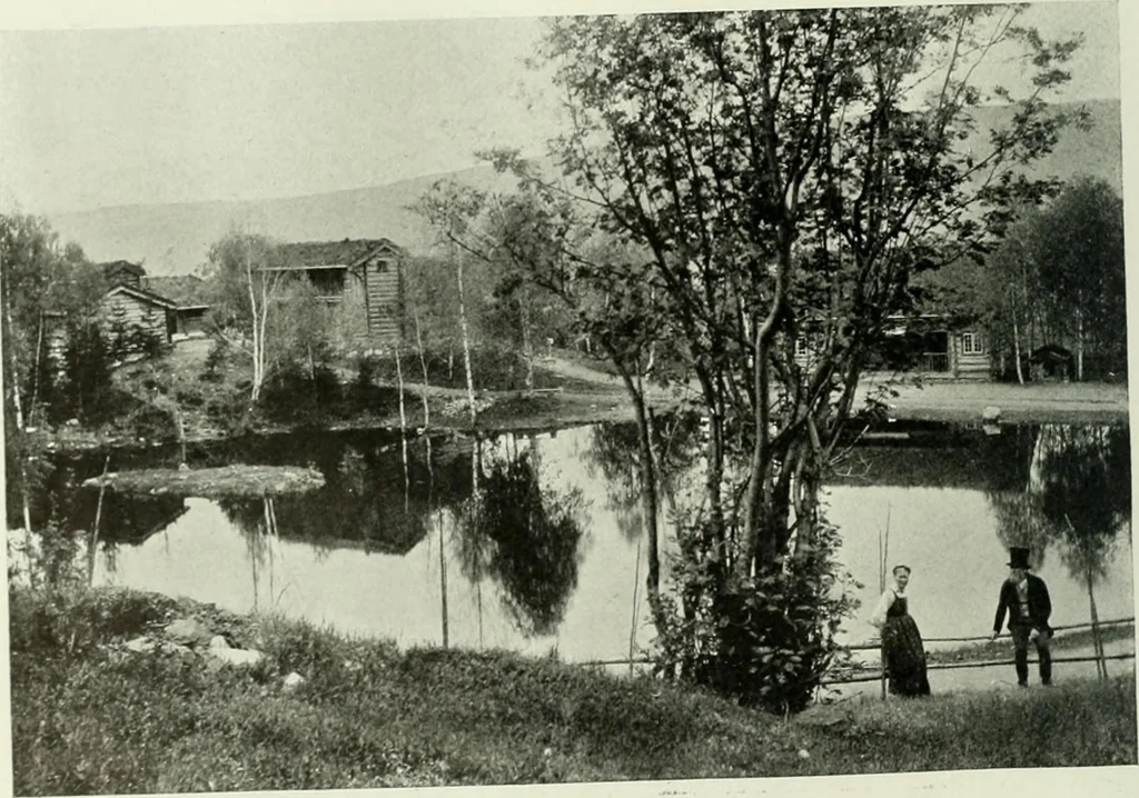 An illustration from International studio, 1897, leaf 229