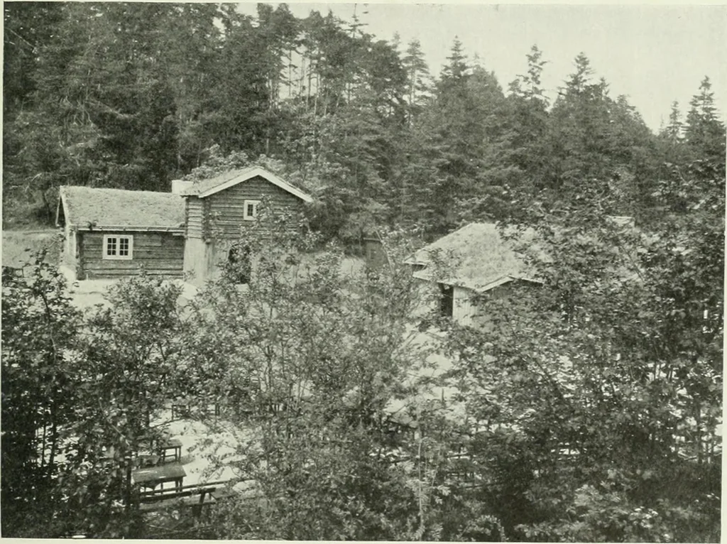 An illustration from International studio, 1897, leaf 240