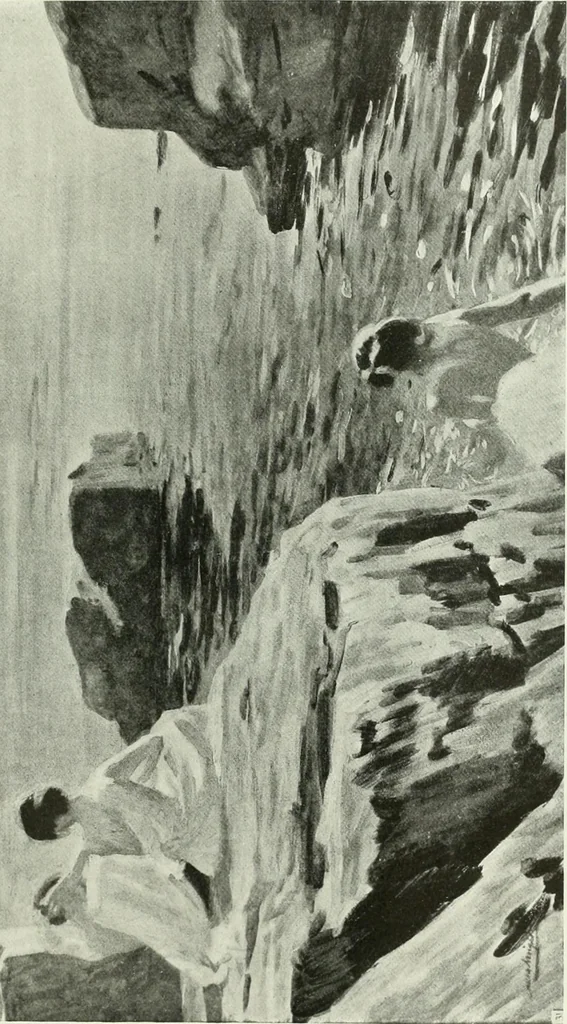An illustration from International studio, 1897, leaf 314