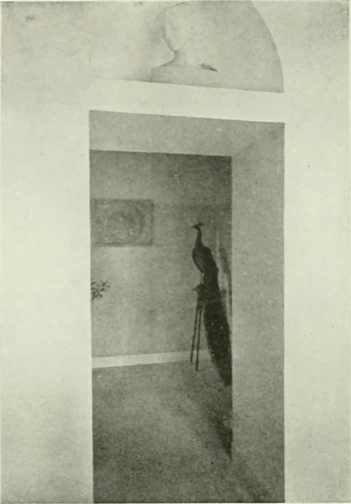 An illustration from International studio, 1897, leaf 323