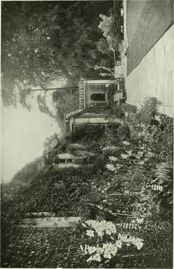 An illustration from International studio, 1897, leaf 330