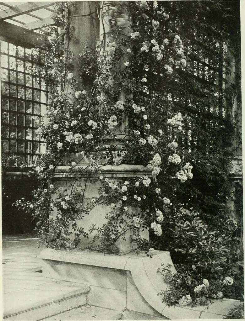 An illustration from International studio, 1897, leaf 333