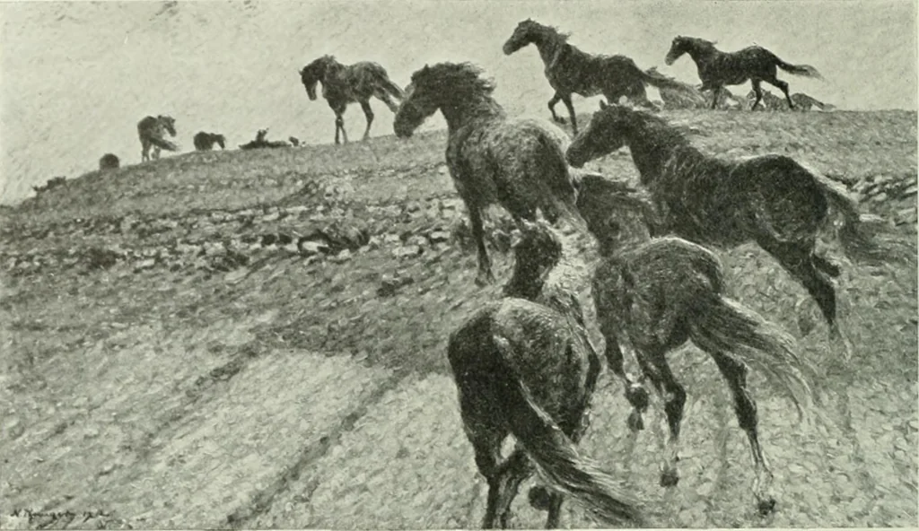 An illustration from International studio, 1897, leaf 375