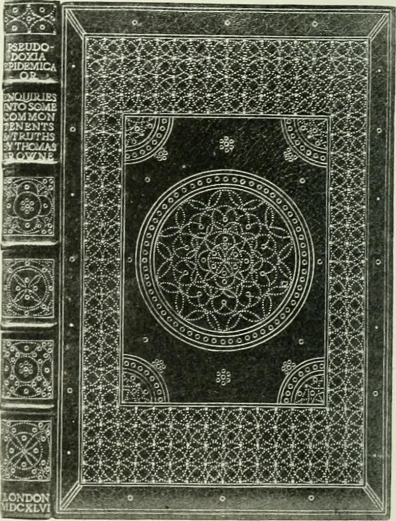 An illustration from International studio, 1897, leaf 411