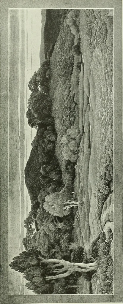 An illustration from International studio, 1897, leaf 416