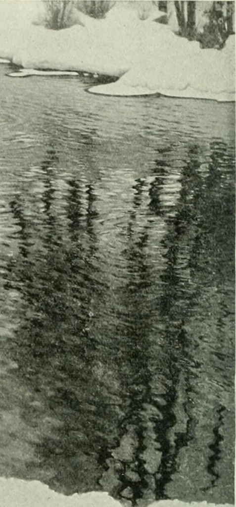 An illustration from International studio, 1897, leaf 453